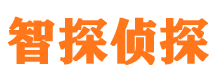 大荔市私家侦探